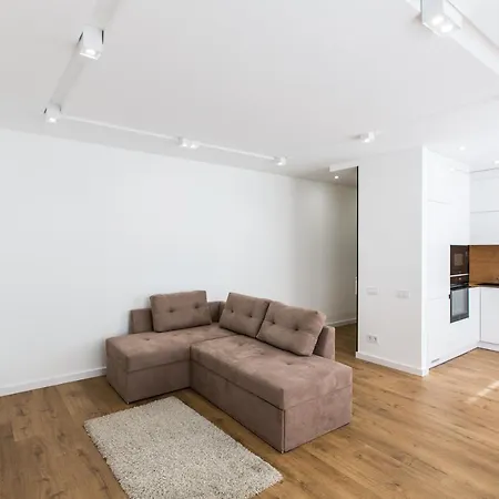 балабана 12 アパート リヴィウ